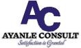 ayanleconsult.com